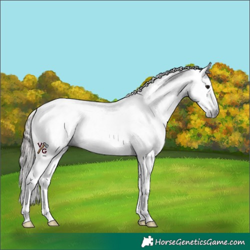 Horse Color:Gray Buckskin Sabino 