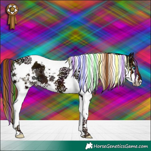 Horse Color:Painted White Spotted Midnight Liver Chestnut Splash Tobiano