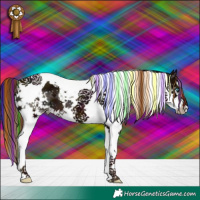 Horse Color:Painted White Spotted Midnight Liver Chestnut Splash Tobiano 