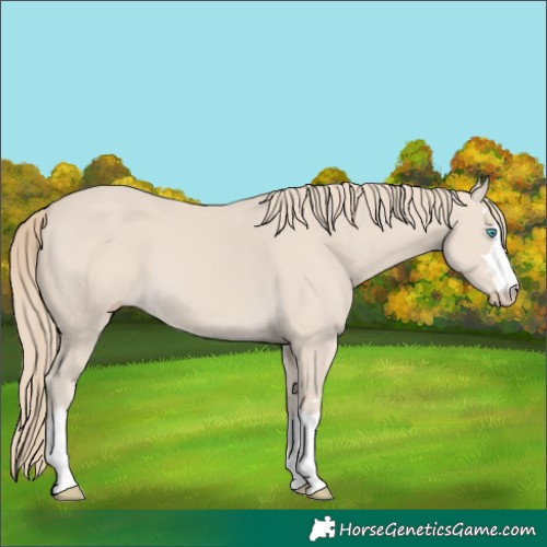 Horse Color:Smoky Creme