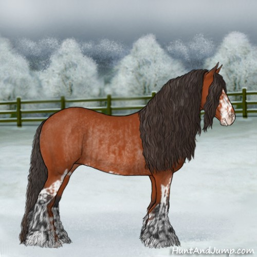 Horse Color:Bay Sabino Rabicano  and Bay Sabino Rabicano 