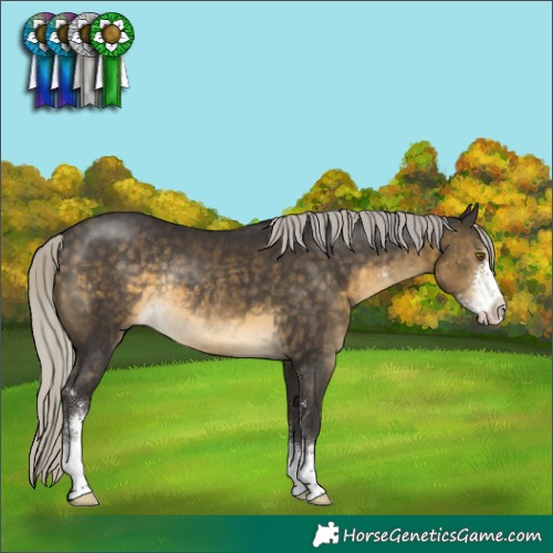 Horse Color:Silver Buckskin Sabino Rabicano 