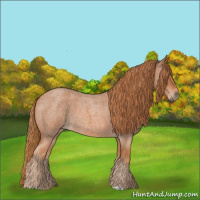 Horse Color:Red Roan 