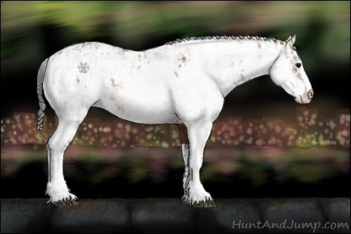 Horse Color:Bay Sabino Rabicano  and Brown Sabino Rabicano 