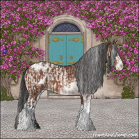 Horse Color:Brown Sabino Rabicano and Brown Sabino Appaloosa Rabicano