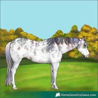 Horse Color:Nacre Blue Onyx Sabino 
