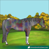 Horse Color:Nacre Smoky Black Tobiano 