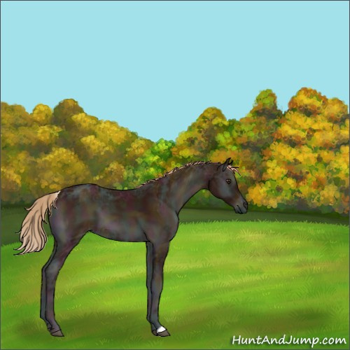 Horse Color:Midnight Red Onyx Ice 
