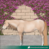 Horse Color:Gold Champagne Pearl Rabicano  and Gold Champagne Pearl Rabicano 