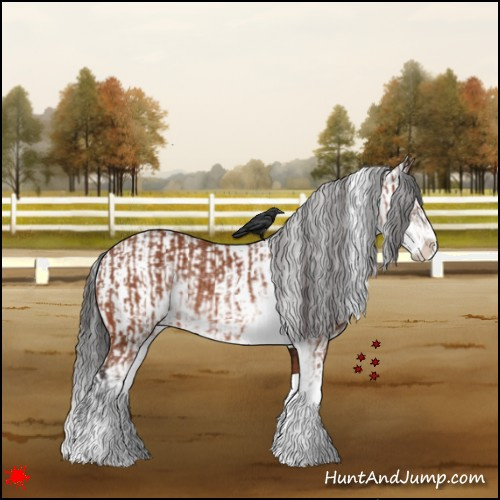 Horse Color:Bay Sabino Rabicano and Gray Bay Sabino Rabicano