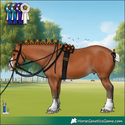 Horse Color:Silver Bay 