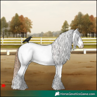 Horse Color:White Spotted Red Dun Roan Snowcap 