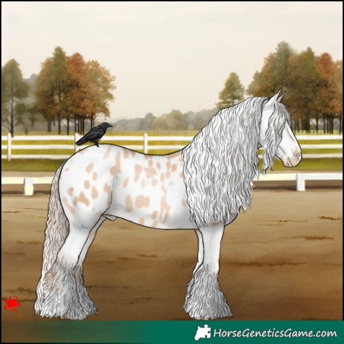 Horse Color:White Spotted Red Dun Pearl Blanket 