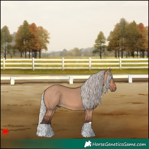 Horse Color:Silver Bay Dun