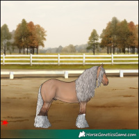 Horse Color:Silver Bay Dun 