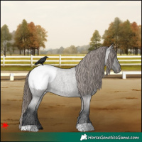 Horse Color:Grullo Roan Snowcap Rabicano 