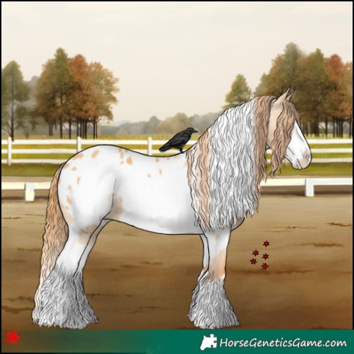 Horse Color:White Spotted Red Dun Frame Blanket