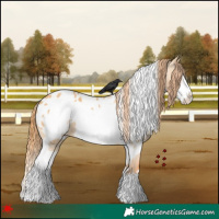 Horse Color:White Spotted Red Dun Frame Blanket 