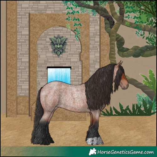 Horse Color:Bay Roan Rabicano and Bay Roan Rabicano