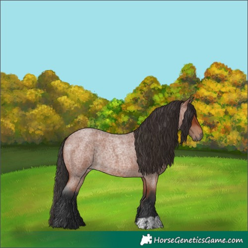 Horse Color:Bay Roan Rabicano  and Bay Roan Rabicano 