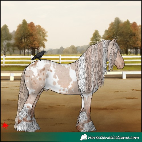 Horse Color:White Spotted Red Dun Varnish 