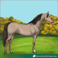 Horse Color:Liver Red Dun 