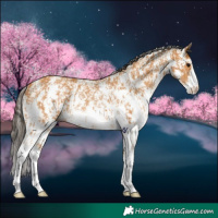 Horse Color:Buckskin Sabino Rabicano  and Buckskin Sabino Rabicano 