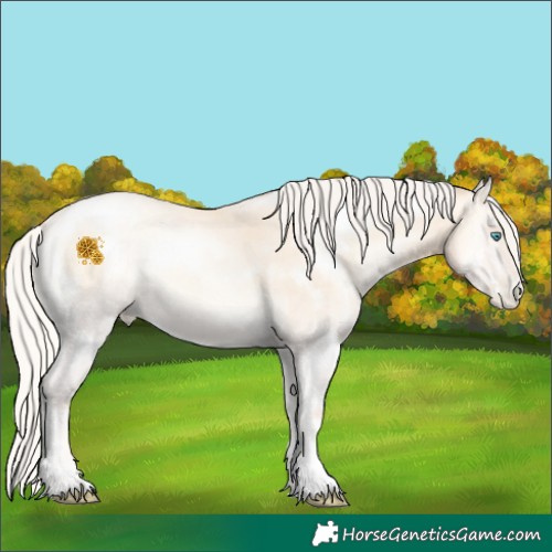 Horse Color:Silver Sable Cream Champagne Roan Pearl Onyx 