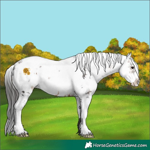 Horse Color:Brown Sabino 