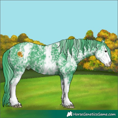 Horse Color:Watercolor White Spotted Black 