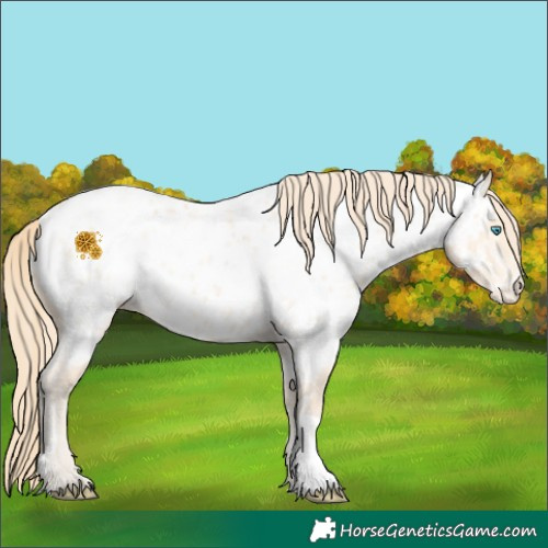 Horse Color:Perlino Near Leopard Rabicano 