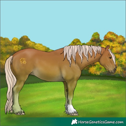 Horse Color:Palomino 