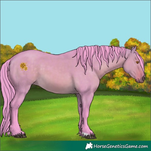 Horse Color:Watercolor Buckskin Dun 