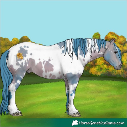Horse Color:Watercolor White Spotted Buckskin 