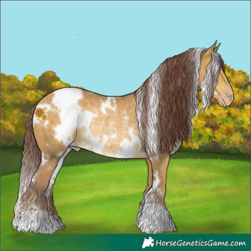 Horse Color:White Spotted Chocolate Sable Cream Champagne Rabicano 