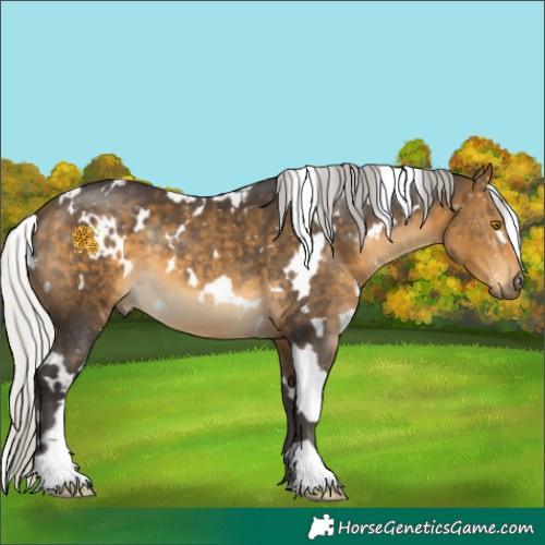 Horse Color:White Spotted Silver Buckskin 