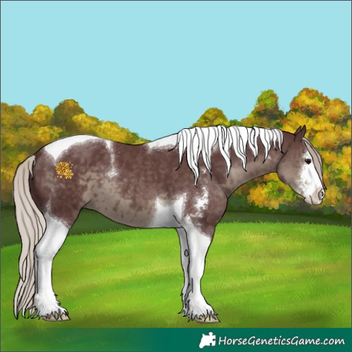 Horse Color:Chocolate Silver Smoky Black Sabino Tobiano 