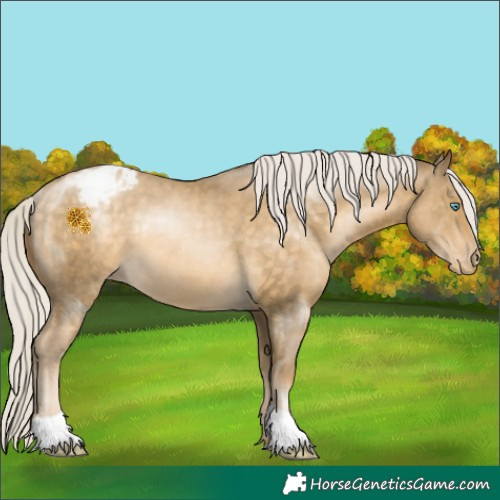 Horse Color:Silver Buckskin Pearl Varnish Rabicano 