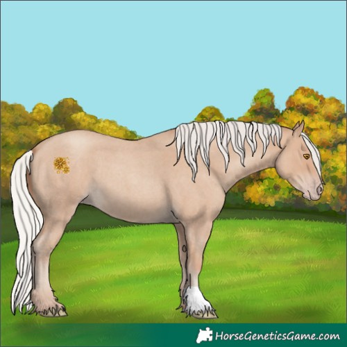 Horse Color:Silver Classic Champagne Roan 