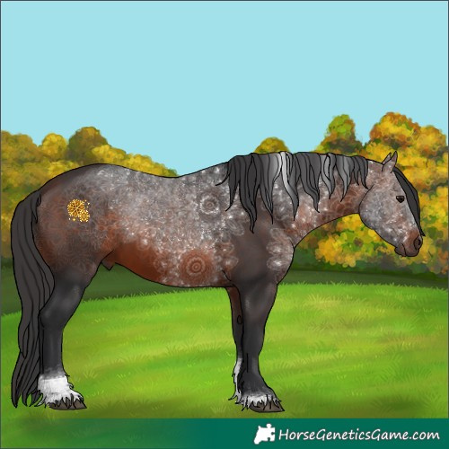 Horse Color:Brown Sabino Tobiano 
