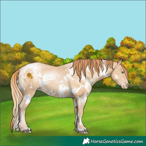Horse Color:White Spotted Smoky Black Pearl 