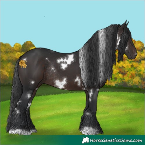 Horse Color:White Spotted Brown Rabicano 