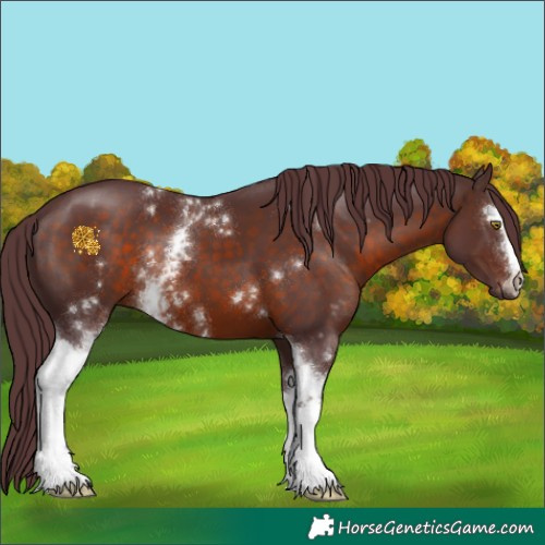 Horse Color:White Spotted Chocolate Brown 