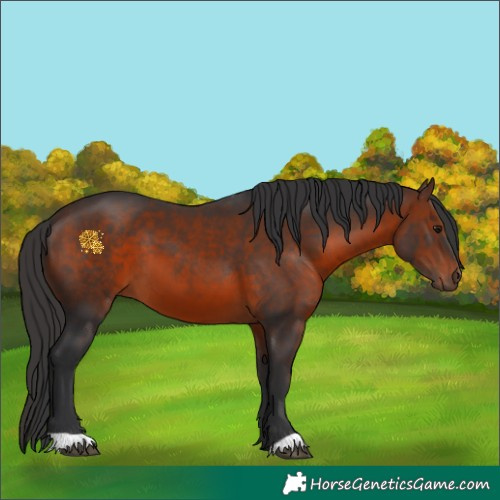 Horse Color:Brown 