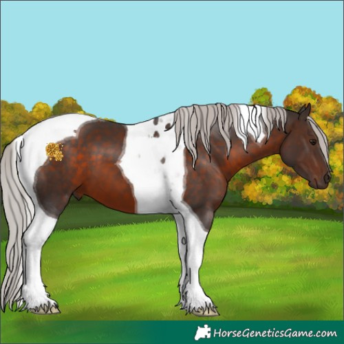 Horse Color:Silver Brown Tobiano 