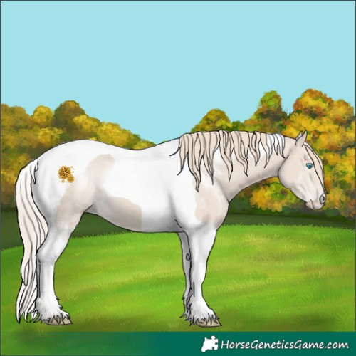 Horse Color:Smoky Creme Tobiano 