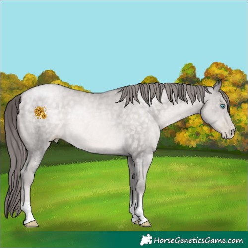 Horse Color:Platinum Buckskin Pearl 