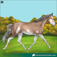 Horse Color:Liver Chestnut Pearl Mushroom Splash Frame