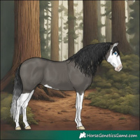 Horse Color:Platinum Grullo Splash 