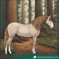 Horse Color:Grullo Pearl 